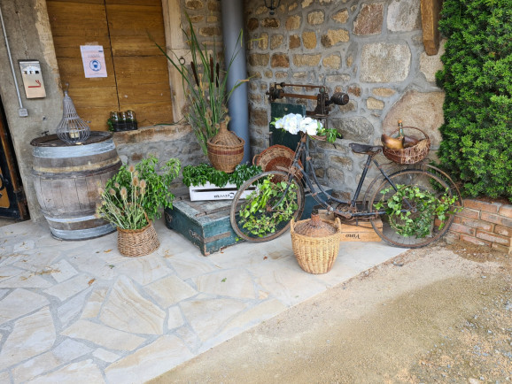 Mariage P&T | Domaine de la Croix Rochefort