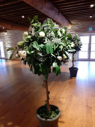 Mariage 24 novembre | Domaine de la Croix Rochefort