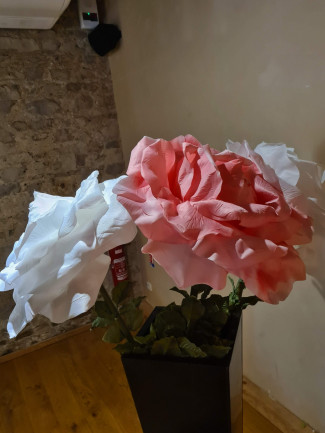 Mariage C&C | Domaine de la Croix Rochefort