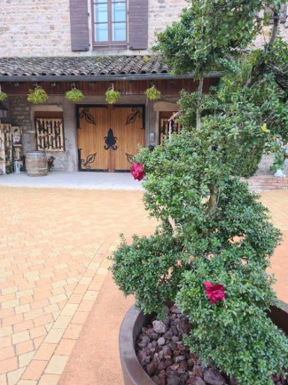 Mariage S&P | Domaine de la Croix Rochefort