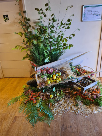 Mariage C&F | Domaine de la Croix Rochefort