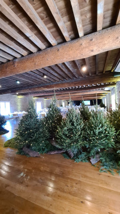 SM&Q | Domaine de la Croix Rochefort