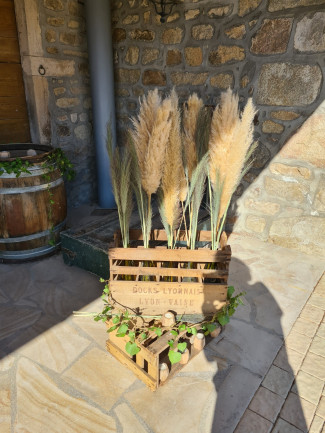 Mariage M&A | Domaine de la Croix Rochefort