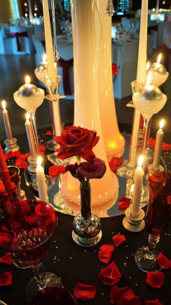 Mariage de P&C | Domaine de la Croix Rochefort